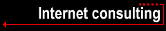 Internet consulting