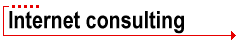 Internet consulting